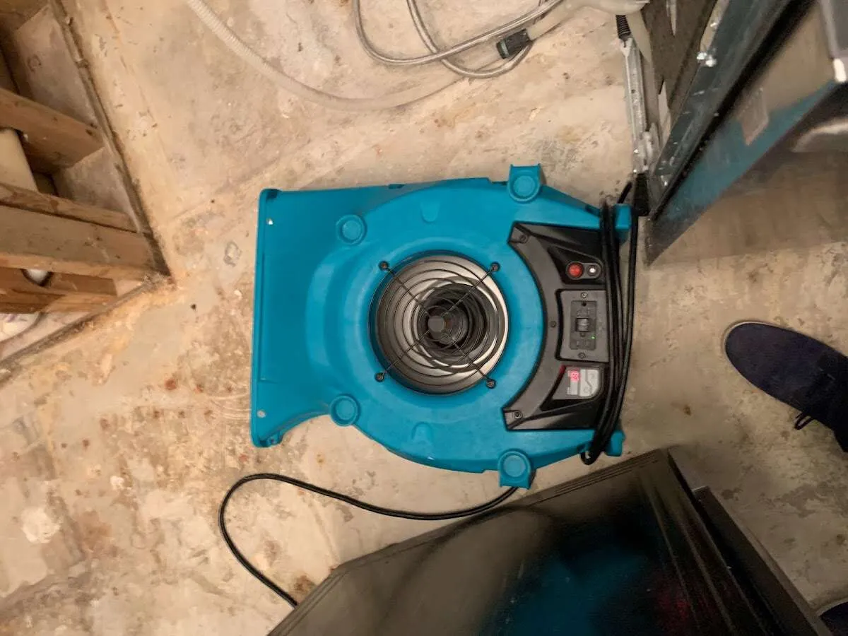 Air mover drying equipment for Mold Remediation & Removal in Kapolei